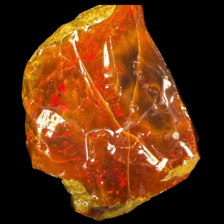 155.6 gr Natural Ethiopian Welo Water Opal – Dominant Fiery Red, Neon Orange & Electric Green Fire – Raw Water Opal – One-of-a-Kind Collector Grade