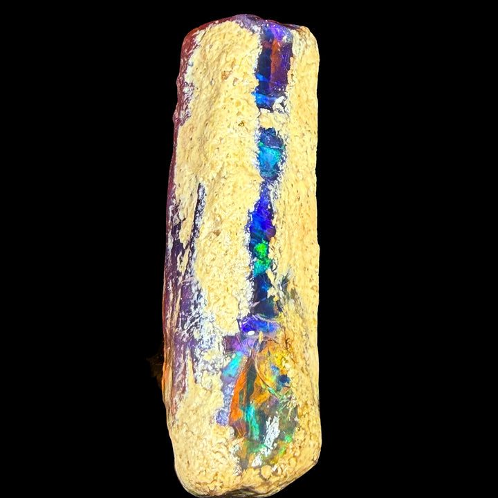 42.6 gr Natural Ethiopian Welo Water Opal – Dominant Electric Blue, Fiery Orange & Neon Green Fire – Raw Water Opal – One-of-a-Kind Collector Grade