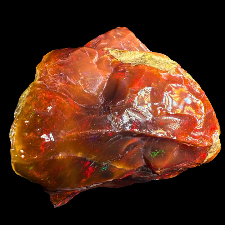 155.6 gr Natural Ethiopian Welo Water Opal – Dominant Fiery Red, Neon Orange & Electric Green Fire – Raw Water Opal – One-of-a-Kind Collector Grade