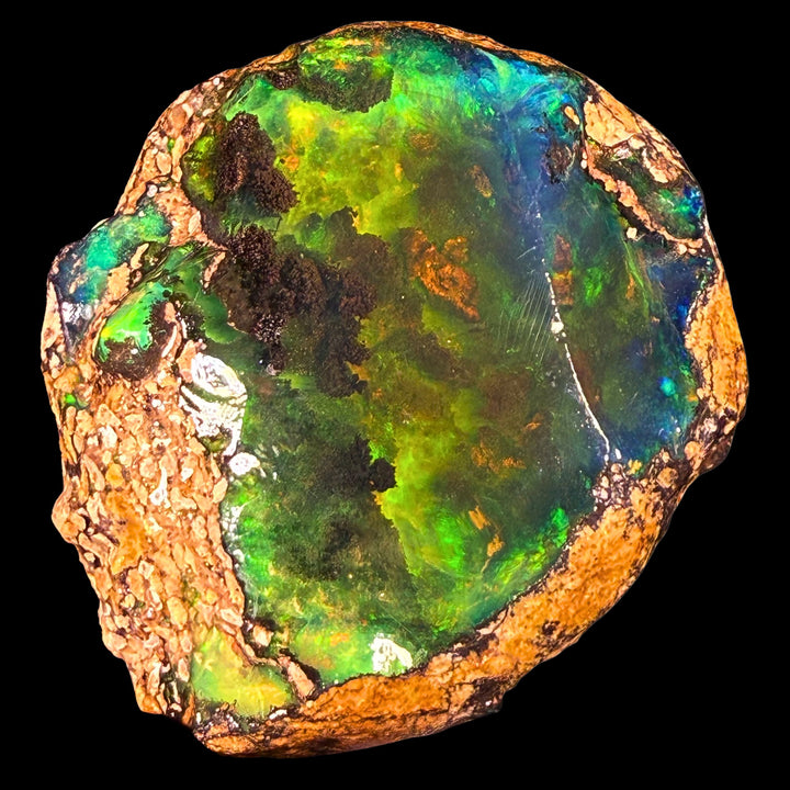 131.7 gr Natural Ethiopian Welo Water Opal – Dominant Neon Green & Electric Blue Fire – Raw Water Opal Specimen – Collector Grade