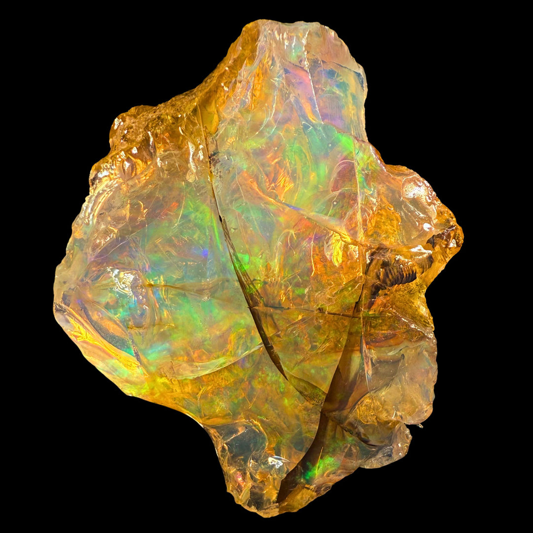 71.1 gr Natural Ethiopian Welo Water Opal – Dominant Neon Green, Golden Honey & Rainbow Fire – Raw Water Opal – Collector Grade