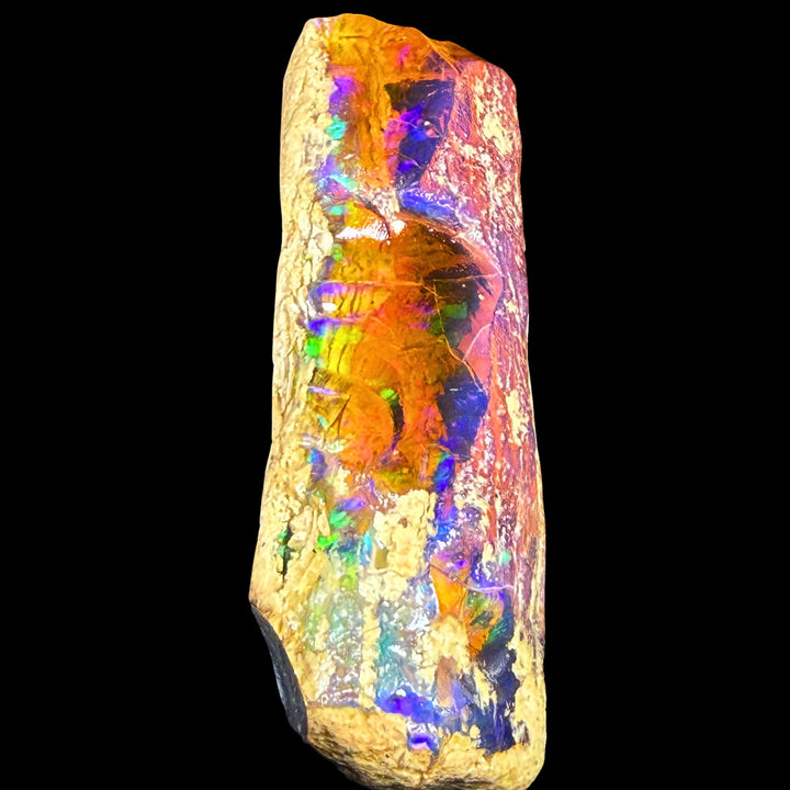 42.6 gr Natural Ethiopian Welo Water Opal – Dominant Electric Blue, Fiery Orange & Neon Green Fire – Raw Water Opal – One-of-a-Kind Collector Grade