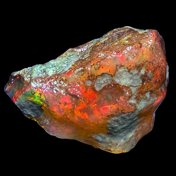 7.9 gr Natural Ethiopian Welo Water Opal – Dominant Fiery Red, Neon Orange & Electric Green Fire – Raw Water Opal – One-of-a-Kind Collector Grade