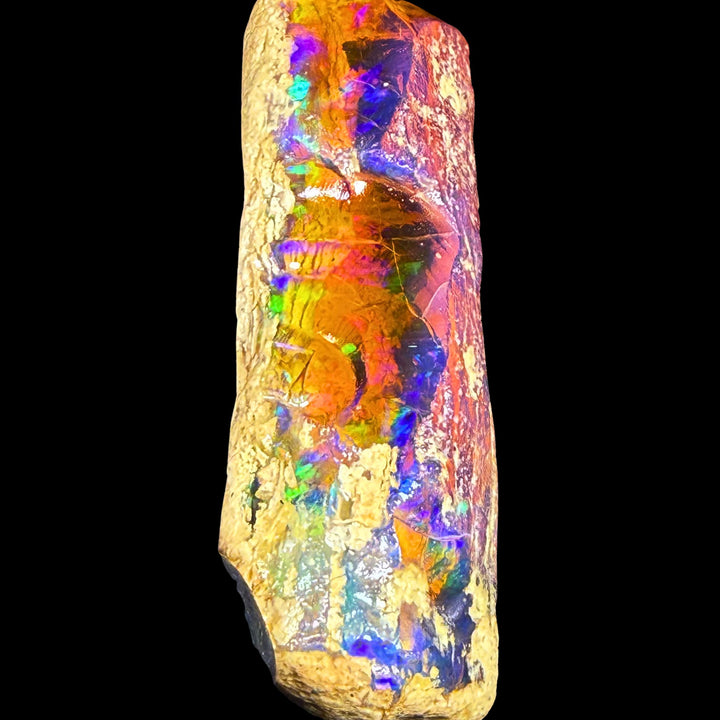 42.6 gr Natural Ethiopian Welo Water Opal – Dominant Electric Blue, Fiery Orange & Neon Green Fire – Raw Water Opal – One-of-a-Kind Collector Grade