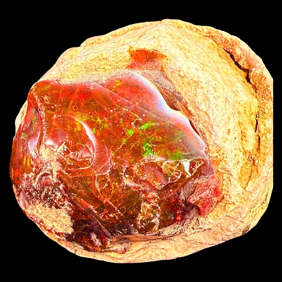 52 Gram AAA Quality Natural Ethiopian Fire Opal – Dominant Deep Cherry Red, Neon Orange & Electric Green Fire | One-of-a-Kind Collector Fire Opal