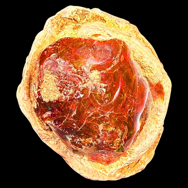 52 Gram AAA Quality Natural Ethiopian Fire Opal – Dominant Deep Cherry Red, Neon Orange & Electric Green Fire | One-of-a-Kind Collector Fire Opal