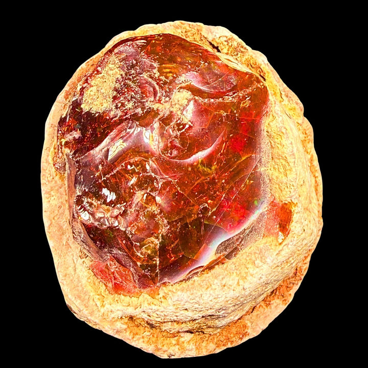 52 Gram AAA Quality Natural Ethiopian Fire Opal – Dominant Deep Cherry Red, Neon Orange & Electric Green Fire | One-of-a-Kind Collector Fire Opal
